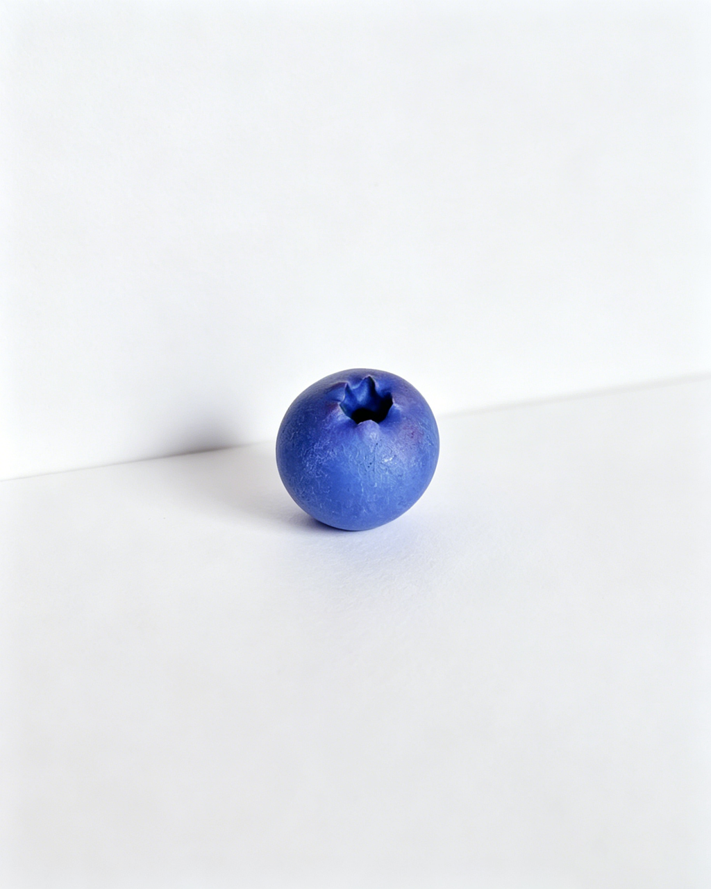 Wholesale Lifelike Blueberry Fridge Magnet SP028