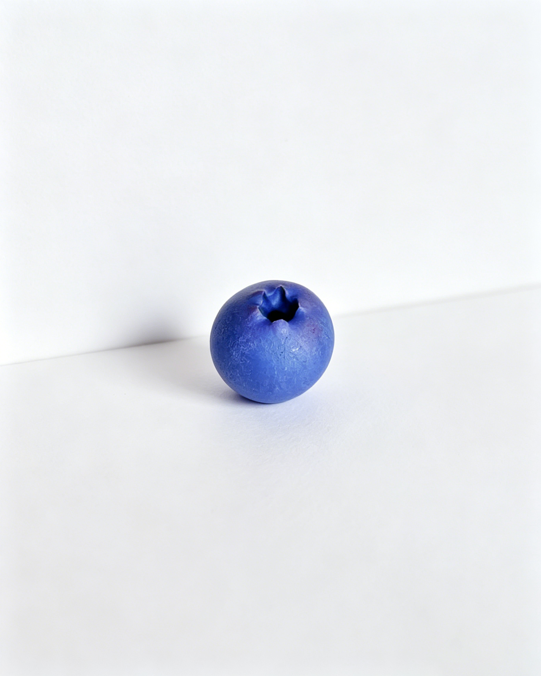 Wholesale Lifelike Blueberry Fridge Magnet SP028