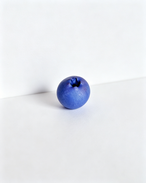 Wholesale Lifelike Blueberry Fridge Magnet SP028