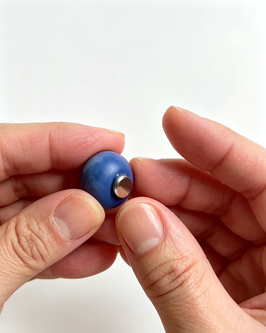 Wholesale Lifelike Blueberry Fridge Magnet SP028