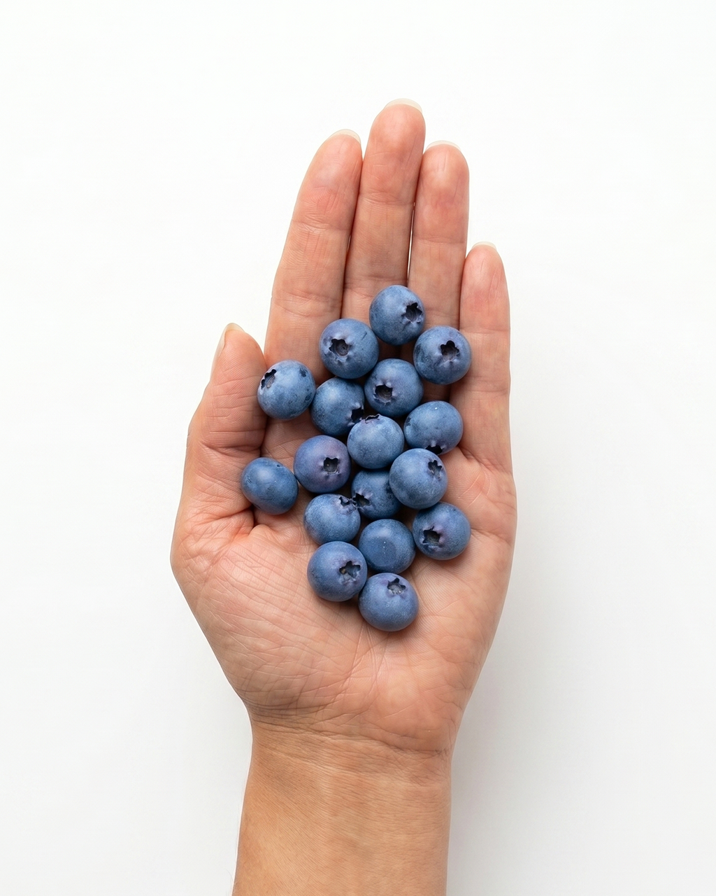Wholesale Lifelike Blueberry Fridge Magnet SP028