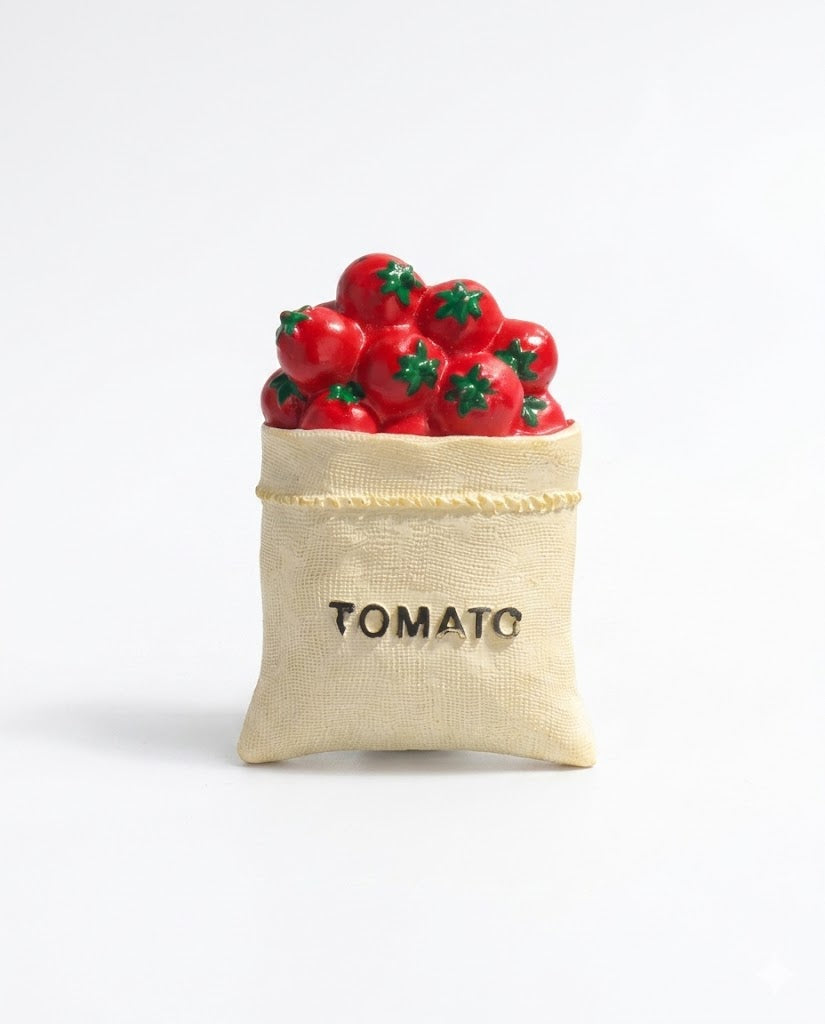 Wholesale Cute Tomato Sack Fridge Magnet SP021